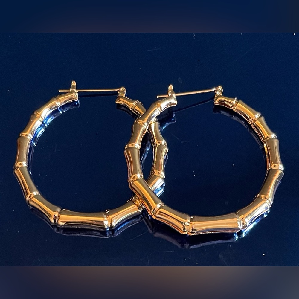Gold Toned Metal Hoop Pierced Earrings